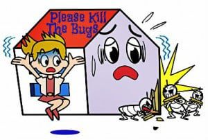 Bug Dmage in Home