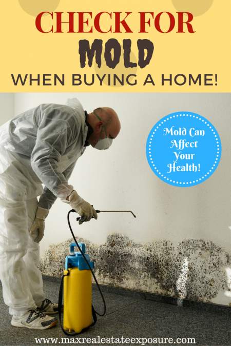 A home inspector's checklist includes mold