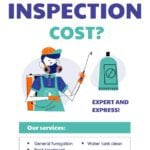 Cost of Termite Inspection