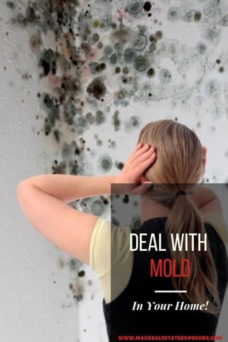 Dealing With Mold in My Home