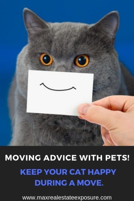 How to Move With Pets
