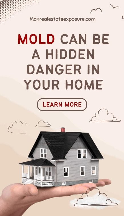 Mold Can Be a Hidden Danger in Homes
