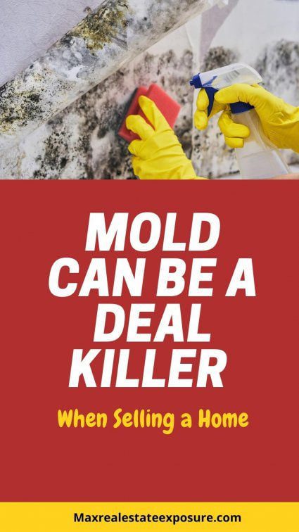 Mold Could Be a Mandatory Fix For Home Buyers