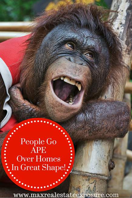 People Go Ape Over Homes in Great Shape 