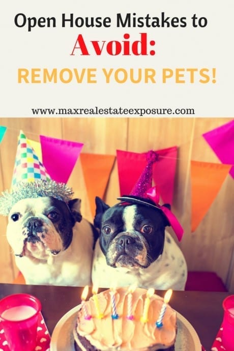 Remove Your Pets When Having an Open House