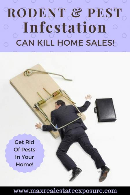 Rodent & Pest Infestation Kill Home Sales