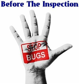 Stop Bugs Before Home Inspection