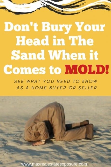 What to Know About Mold When Buying or Selling a House